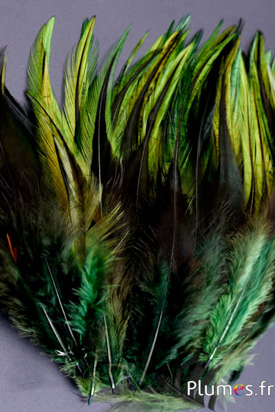Coq flammé - 10-15 cm - vert sapin